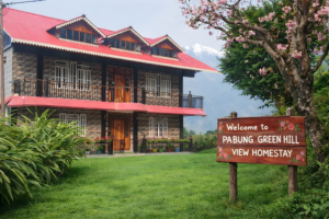 Untitled design_20260202_080832_0000